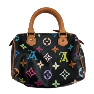 LOUIS VUITTON Speedy Monogram