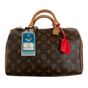 LOUIS VUITTON Speedy Monogram